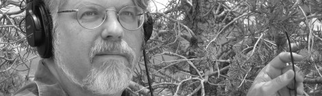 Talk: David Dunn, “Sonic Interventions Into Hidden Sound Worlds: A Composer at the Edge of Science”