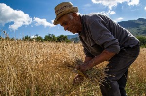 Talk: Amy Franceschini - Future Farmers @ Room 211 | Troy | New York | United States